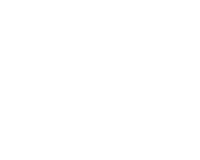 Service de SOUTIEN TECHNIQUE général